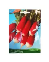 RADIS FLAMBOYANT3 SACHET DE 10 GR ART 348