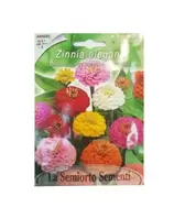 ZINNIA LILLIPUT DOPPIA IN MISCGLIO ART FI612-MAXIFLOR
