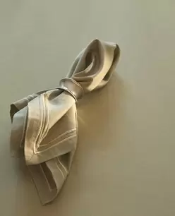 SERVIETTES DE TABLE SATINÉES DOUBLE FESTON ET ROND DE SERVIETTE ROND EN ACIER