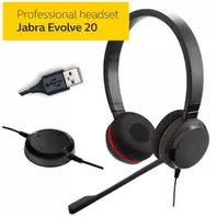Jabra Evolve 20 USB Casque Professionnel MS Duo ( HSC016 )