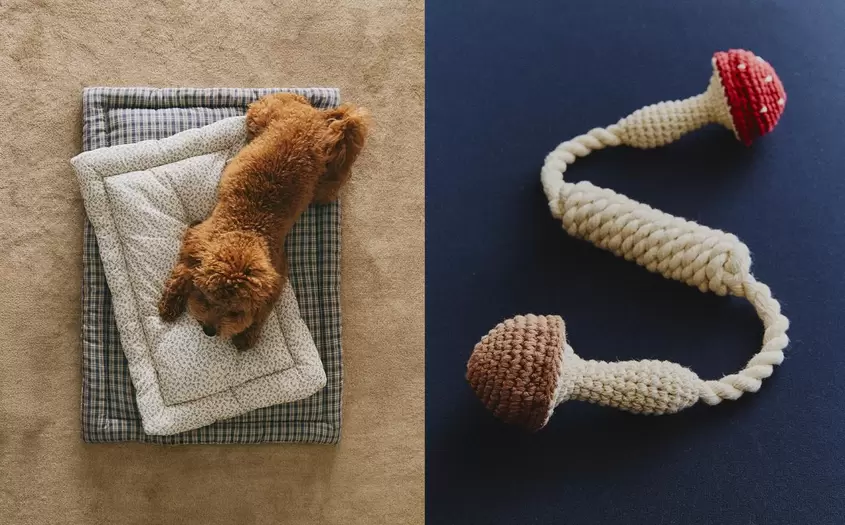 SURMATELAS À CARREAUX ET FLEURS ET JOUET CHAMPIGNONS POUR ANIMAUX