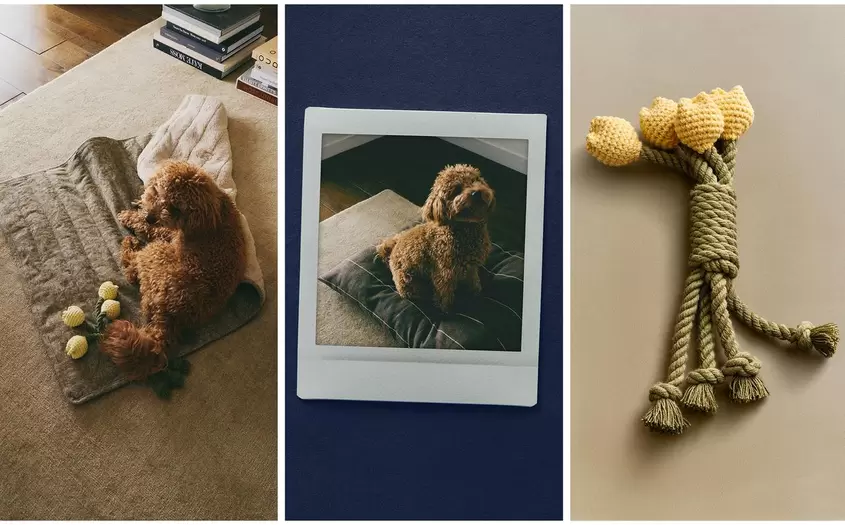 COUVERTURE DE SOL ENROULABLE MORRIS & CO. ET JOUET BOUQUET ANIMAUX