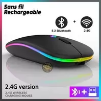Souris Sans Fil Rechargeable Silencieuse – Ultra-Slim, DPI réglable, Ergonomique et Double Mode (Bluetooth + 2,4 GHz)