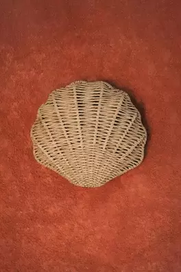 Shell crossbody bag