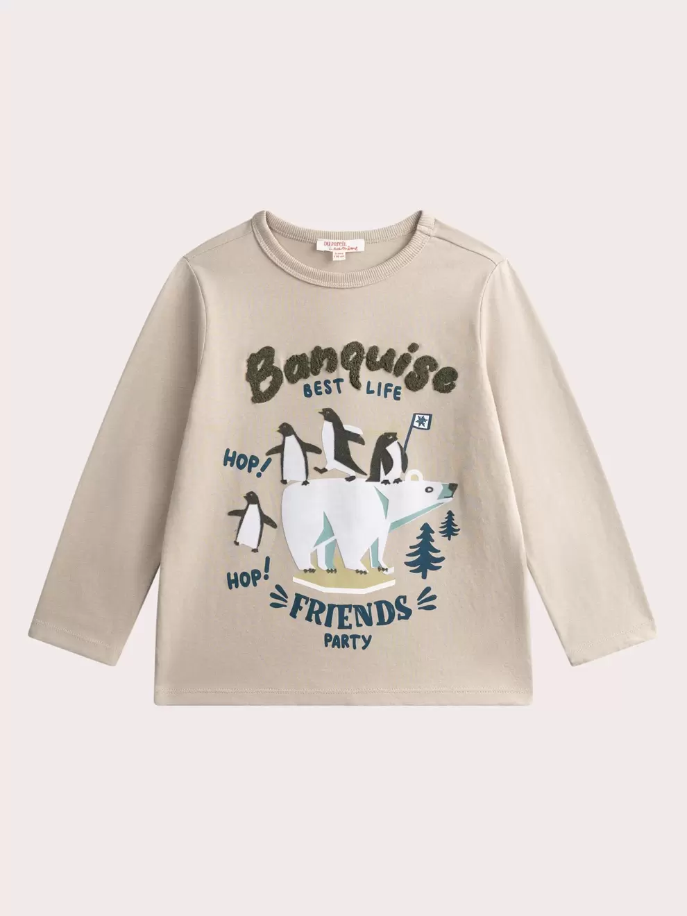 T-shirt gris animation banquise pour garçon