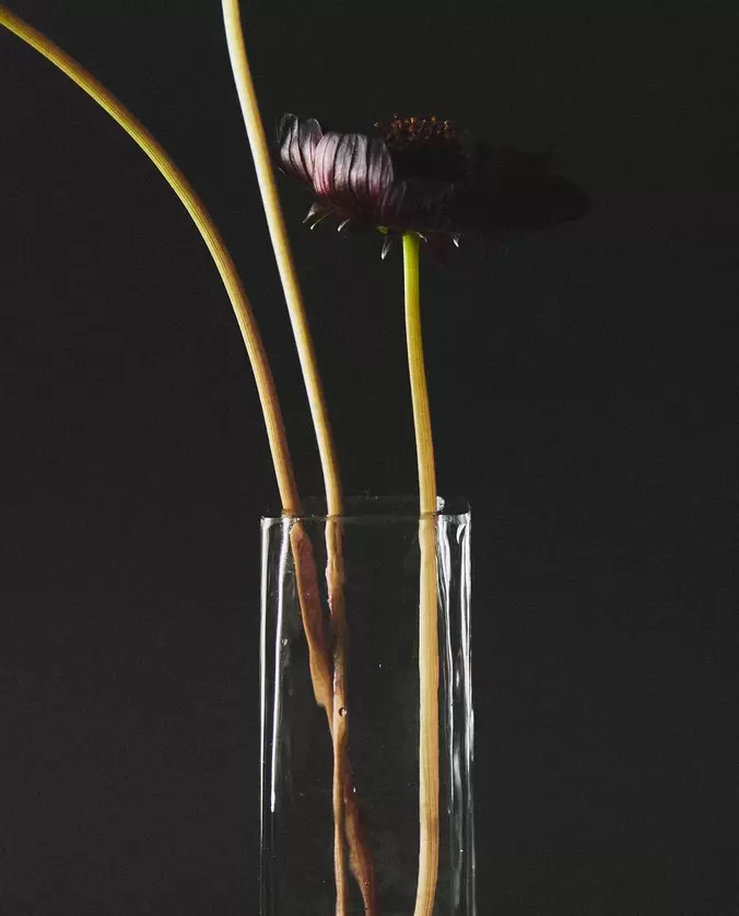 VASE DÉCORATIF HAUT EN VERRE