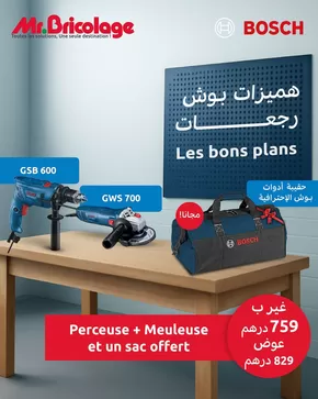 Catalogue Mr.Bricolage | Catalogue Mr.Bricolage | 2025-07-16T00:00:00.000Z - 2025-07-30T00:00:00.000Z
