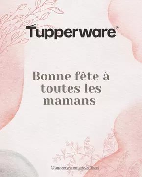 Catalogue Tupperware | Meilleures offres pour les chasseurs de bonnes affaires | 2025-08-06T00:00:00.000Z - 2025-08-20T00:00:00.000Z