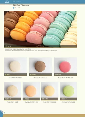 Catalogue Venezia Ice | reception | 2025-10-16T00:00:00.000Z - 2025-10-30T00:00:00.000Z