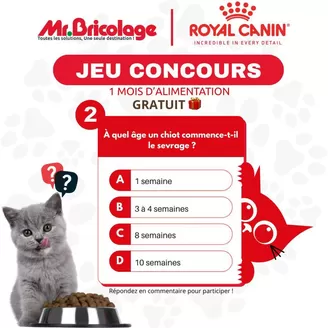 Catalogue Mr.Bricolage à Fès | Meilleures offres pour les économes | 2026-02-27T00:00:00.000Z - 2026-03-13T00:00:00.000Z