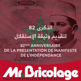 Catalogue Mr.Bricolage | Catalogue Mr.Bricolage | 2026-03-08T00:00:00.000Z - 2026-03-22T00:00:00.000Z