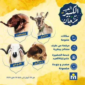 Catalogue Marjane | Catalogue Marjane | 2026-04-28T00:00:00.000Z - 2026-05-26T00:00:00.000Z