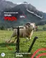 Catalogue Decathlon | Nos meilleures bonnes affaires | 2026-05-22T00:00:00.000Z - 2026-06-05T00:00:00.000Z