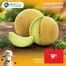 Catalogue Aswak Assalam | Offres et promotions actuelles | 2026-06-06T00:00:00.000Z - 2026-06-20T00:00:00.000Z