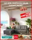 Catalogue KITEA à Ouled Yaich | Catalogue KITEA | 2026-06-01T00:00:00.000Z - 2026-08-31T00:00:00.000Z