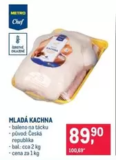MLADÁ KACHNA