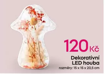 Dekorativní LED houba