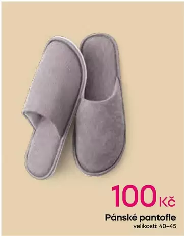 Pánské pantofle