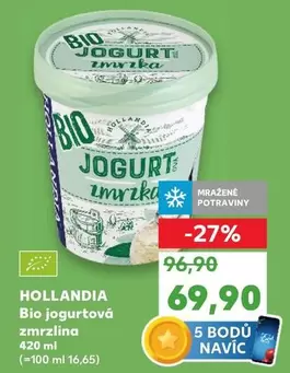 Bio jogurtová zmrzlina
