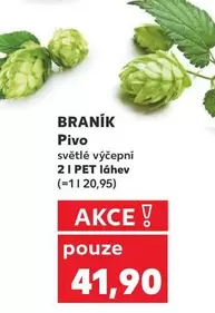 Pivo