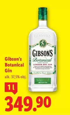 Botanical Gin