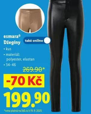 Džegíny