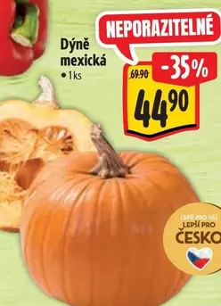 Dýně mexická