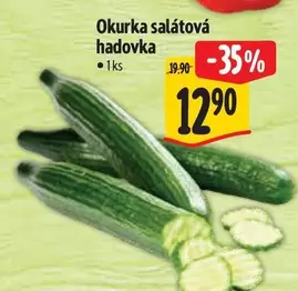 Okurka salátová hadovka