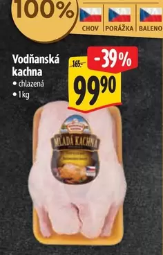 Vodňanská kachna