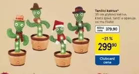 Tančící kaktus