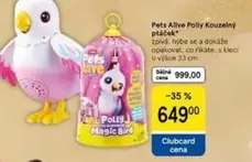 Polly Kouzelný ptáček