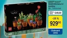 10329 Miniaturni rostliny