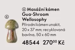 Masážní kámen Gua-Shroom