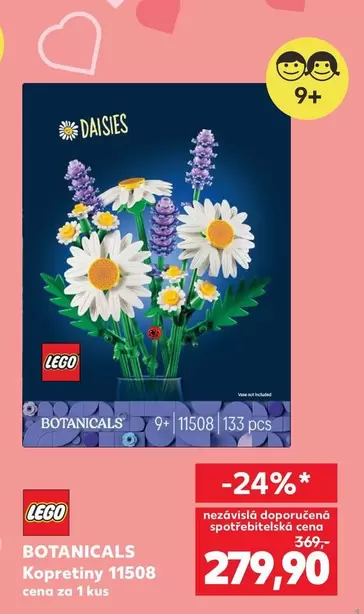 BOTANICALS Kopretiny 11508