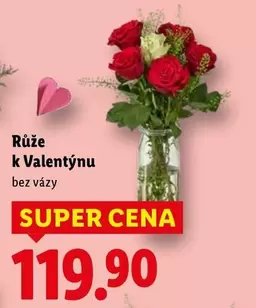 Super - Růže k Valentýnu