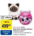 Pets Alive Smitten Kittens