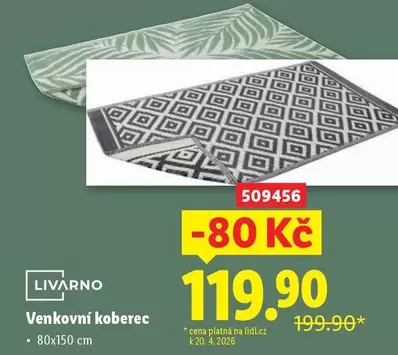 Venkovní koberec 80x150 cm