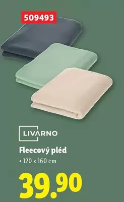 Fleeceový pléd 509493