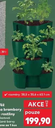 Květináč na brambory a rostliny