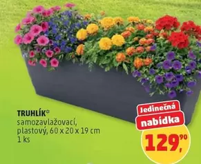 TRUHLÍK samozavlažovací