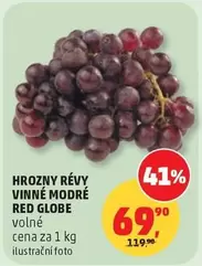 Red - HROZNY REVY VINNE MODRE RED GLOBE