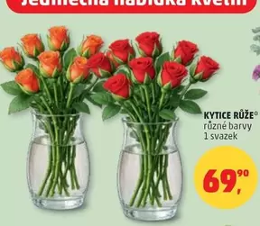 Kytice růží
