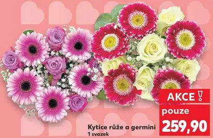 Kytice růže a germini