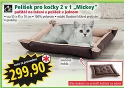 Pelišek pro kočky 2 v 1