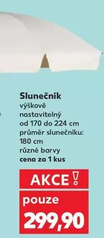 Slunečník