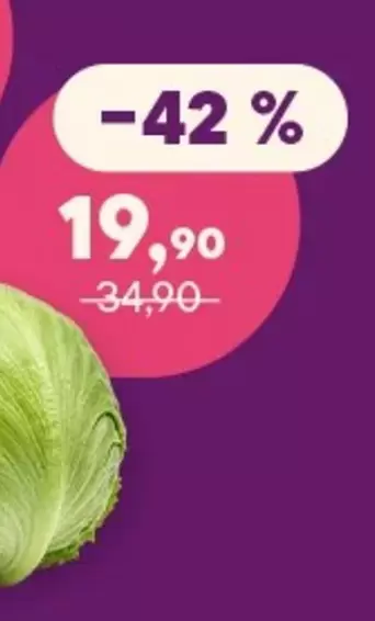 Iceberg lettuce