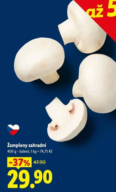 Žampiony zahradní