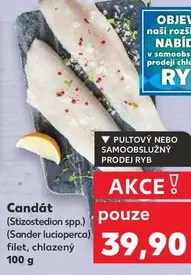 Candát filet, chlazený