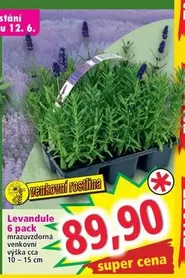 Super - Levandule
