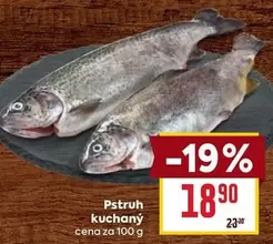 Pstruh kuchany
